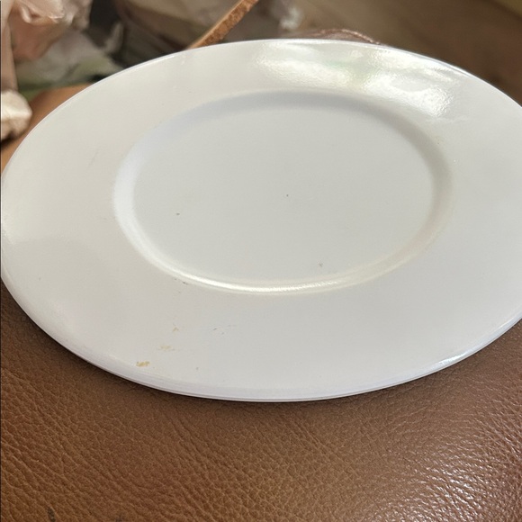 Colorful Divided Plate - Picture 2 of 6